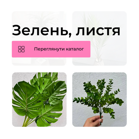 зелень, листя