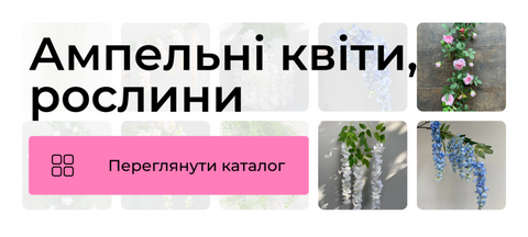 ампельні квіти, рослини
