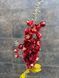 Дельфініум  1647 фото 2