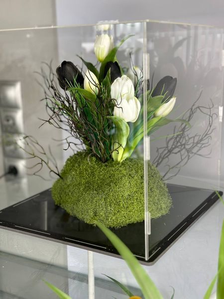Композиція в акриловому боксі  1368 фото